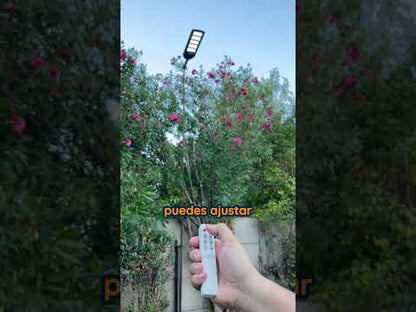Kit Luminaria Solar Peatonal S02 New 250W + Soporte
